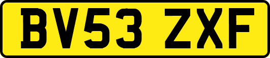 BV53ZXF