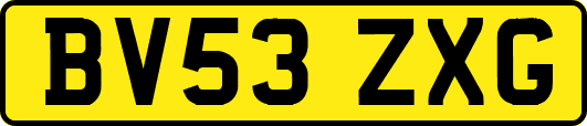 BV53ZXG