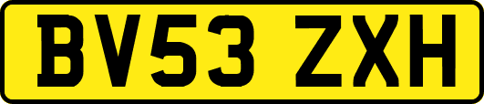 BV53ZXH