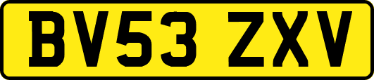 BV53ZXV