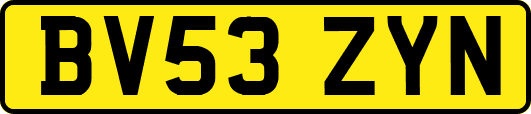 BV53ZYN