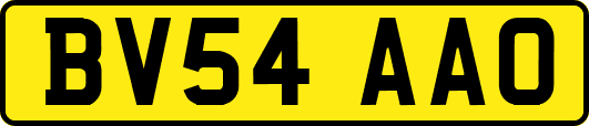 BV54AAO
