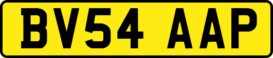 BV54AAP