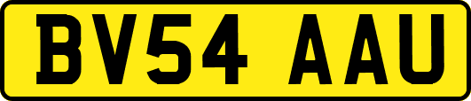 BV54AAU