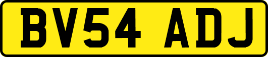 BV54ADJ