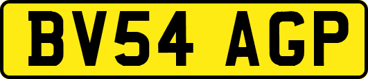 BV54AGP