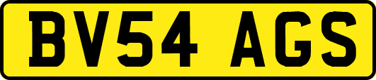 BV54AGS