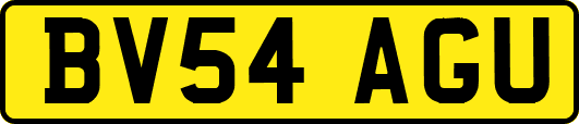 BV54AGU