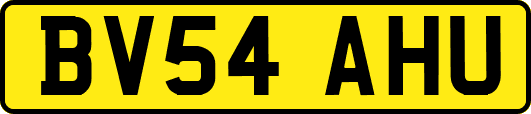 BV54AHU