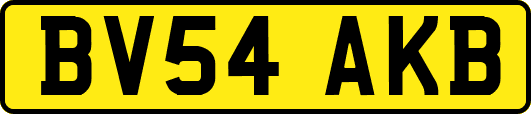 BV54AKB