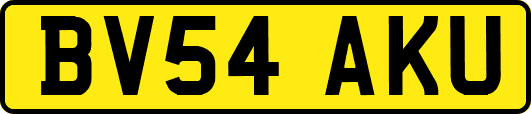 BV54AKU