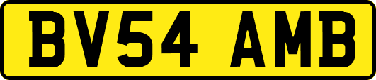 BV54AMB