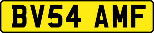 BV54AMF
