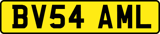 BV54AML