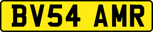 BV54AMR