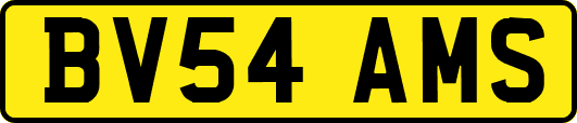 BV54AMS
