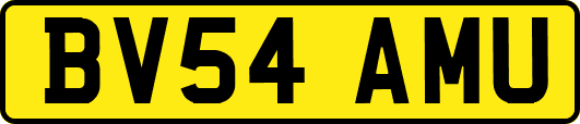 BV54AMU