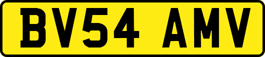 BV54AMV