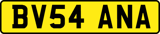 BV54ANA