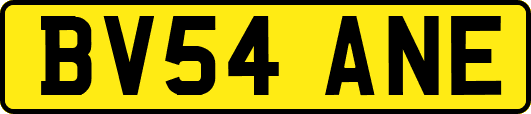 BV54ANE