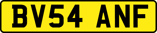 BV54ANF