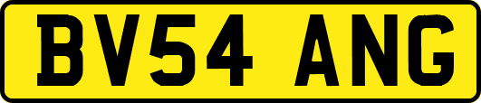 BV54ANG