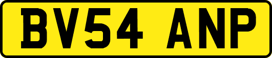 BV54ANP