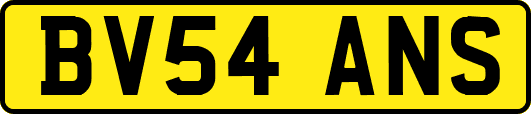BV54ANS