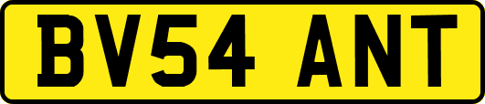 BV54ANT