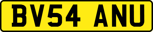 BV54ANU