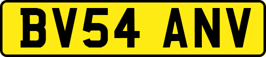 BV54ANV