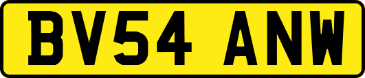 BV54ANW