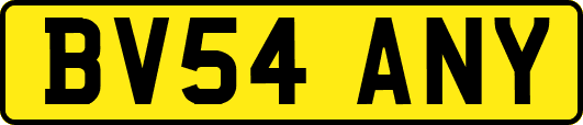 BV54ANY
