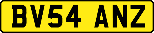 BV54ANZ