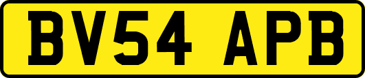 BV54APB
