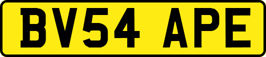 BV54APE