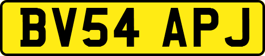 BV54APJ