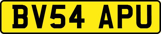 BV54APU