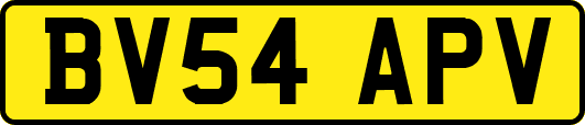 BV54APV
