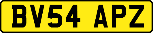 BV54APZ
