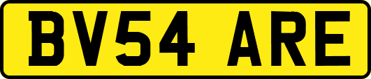 BV54ARE