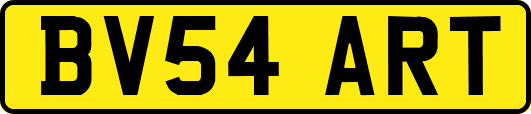 BV54ART