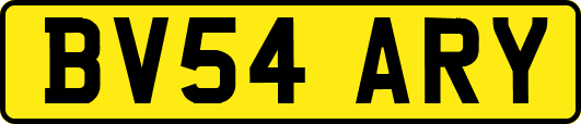 BV54ARY