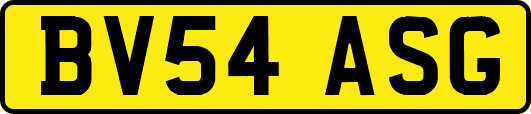 BV54ASG