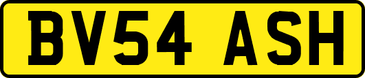 BV54ASH