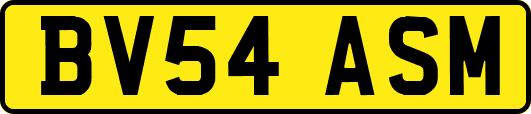 BV54ASM