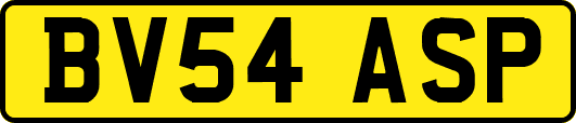 BV54ASP