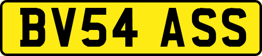 BV54ASS