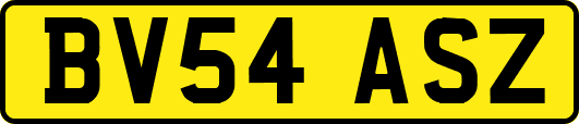 BV54ASZ