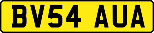 BV54AUA